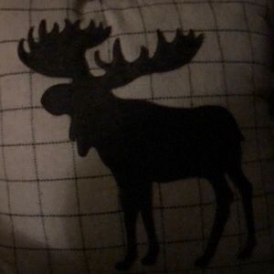 Meet your Posher, Alana